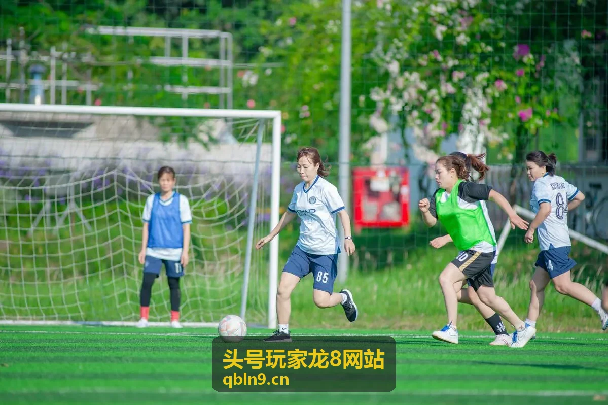 头号玩家龙8网站玩法指南封面